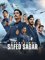 imagen de Operación Safed Sagar