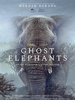 Cartel de Los elefantes fantasma de Angola