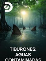 Cartel de Tiburones: aguas contaminadas