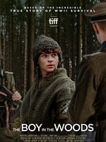 Cartel de The Boy In The Woods