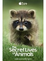 imagen de La vida secreta de los animales