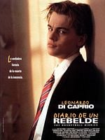 Cartel de Diario de un rebelde