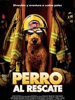 Cartel de Perro al rescate