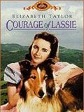 Cartel de El coraje de Lassie