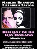 Cartel de Reflejos en un ojo dorado