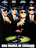 Cartel de Una banda de cuidado