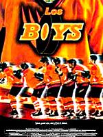 Cartel de Los Boys