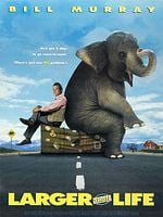 Cartel de Un elefante llamado Vera