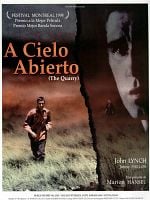 Cartel de A cielo abierto