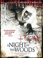 Cartel de A Night in the Woods
