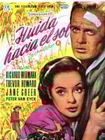 Cartel de Huida hacia el sol