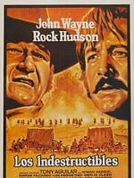 Cartel de Los indestructibles