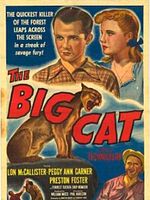 Cartel de El gran gato