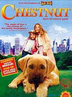 Cartel de Chesnut: El héroe de Central Park