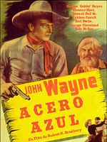 Cartel de Acero azul