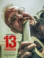 Cartel de 13 Cameras