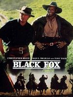 Cartel de Zorro negro