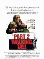 Cartel de Pisando fuerte 2