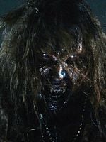 Cartel de The Stakelander