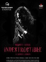 Cartel de Indestructible, el alma de la salsa