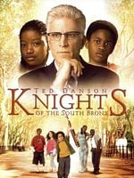 Cartel de Los caballeros del Bronx