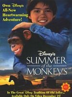 Cartel de El verano de los monos