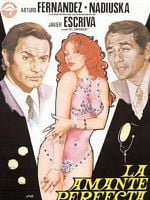 Cartel de La amante perfecta