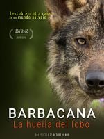 Cartel de Barbacana, la huella del lobo