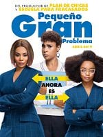 Cartel de Pequeño gran problema
