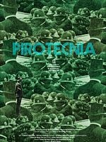 Cartel de Pirotecnia