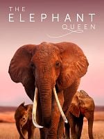 Cartel de The Elephant Queen