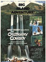 Cartel de El cowboy náufrago