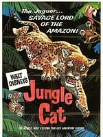 Cartel de Jungle Cat