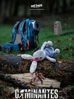 imagen de Caminantes