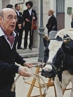 imagen de Historias de Alcafrán