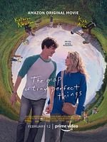 Cartel de The Map Of Tiny Perfect Things