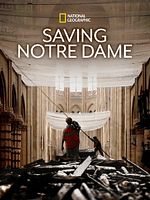 Cartel de Salvar Notre Dame