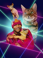 imagen de Locos por los gatos