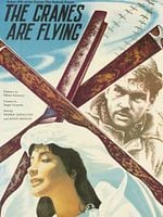 Cartel de Cuando pasan las cigüeñas