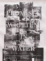 Cartel de Promises Written In Water