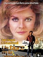 Cartel de Un tigre en la almohada