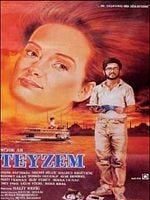 Cartel de Teyzem