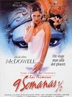 Cartel de Las primeras 9 semanas y media