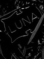 Cartel de Luna