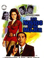 Cartel de Los novios de mi mujer