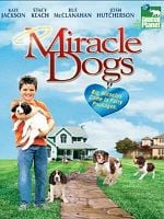 Cartel de Miracle Dogs