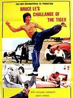 Cartel de Duelo del dragón y el tigre