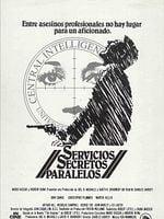 Cartel de Servicios secretos paralelos