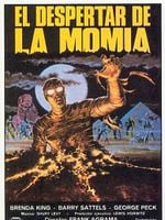 Cartel de El despertar de la momia