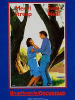 Cartel de Un grito en la oscuridad